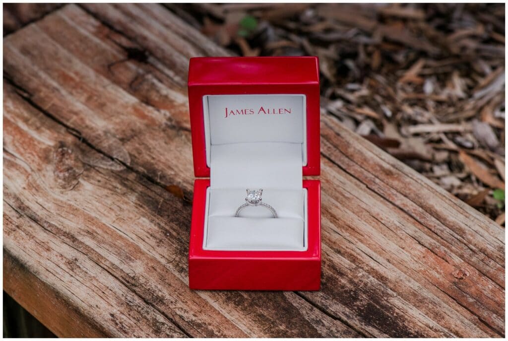 James Allen diamond engagement ring  for brevard county proposal at up the creek farms