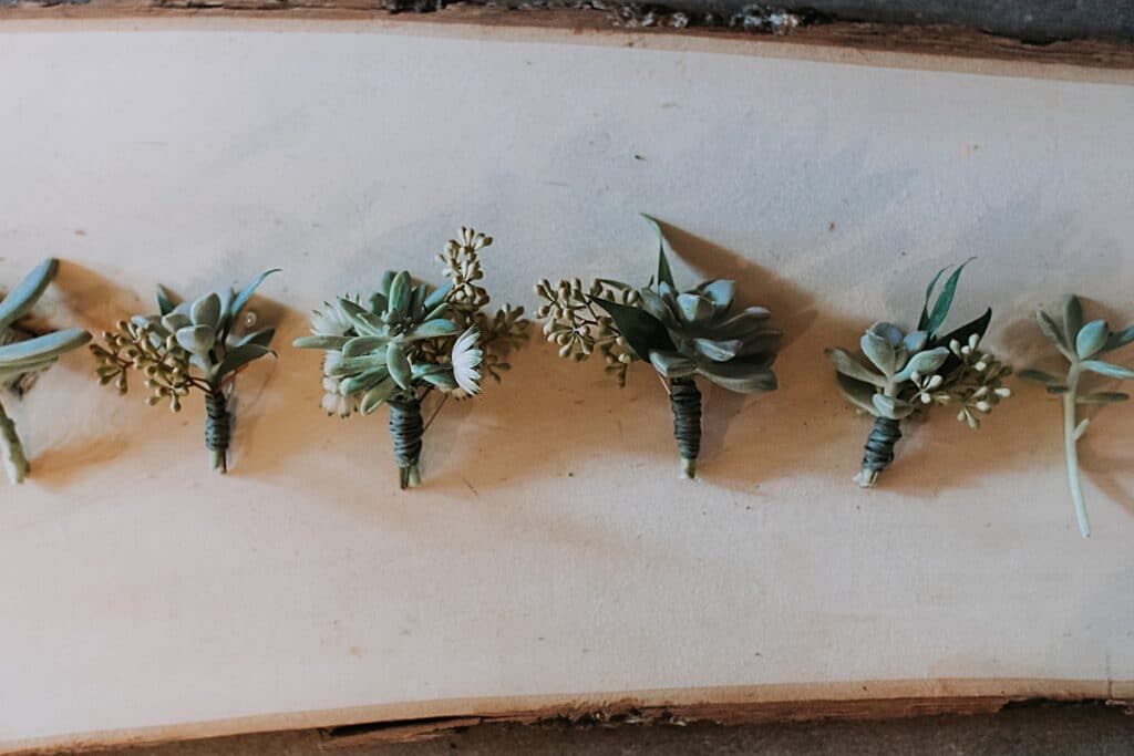 Succulent boutonnieres for groomsmen