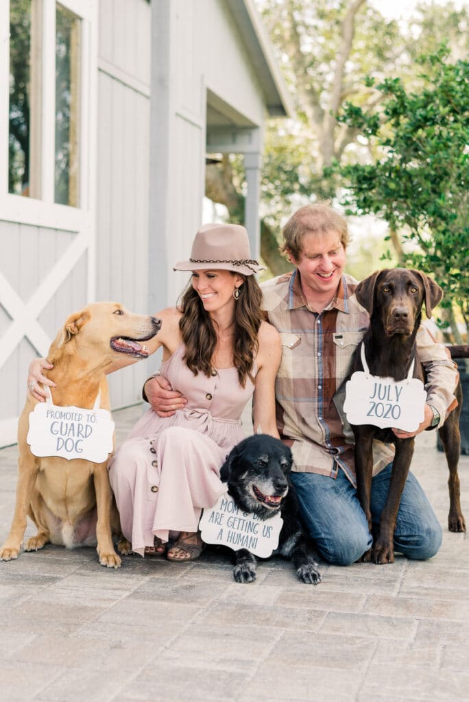 Cute maternity shoot signs for dogs and pets