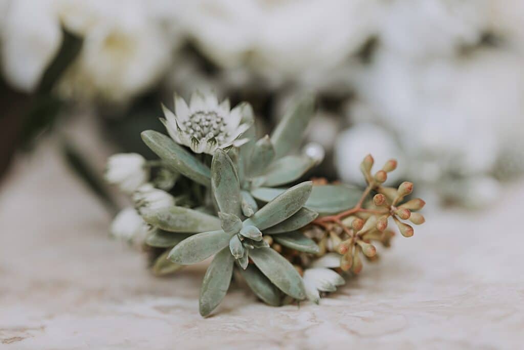 earthy rustic succulent boutonniere