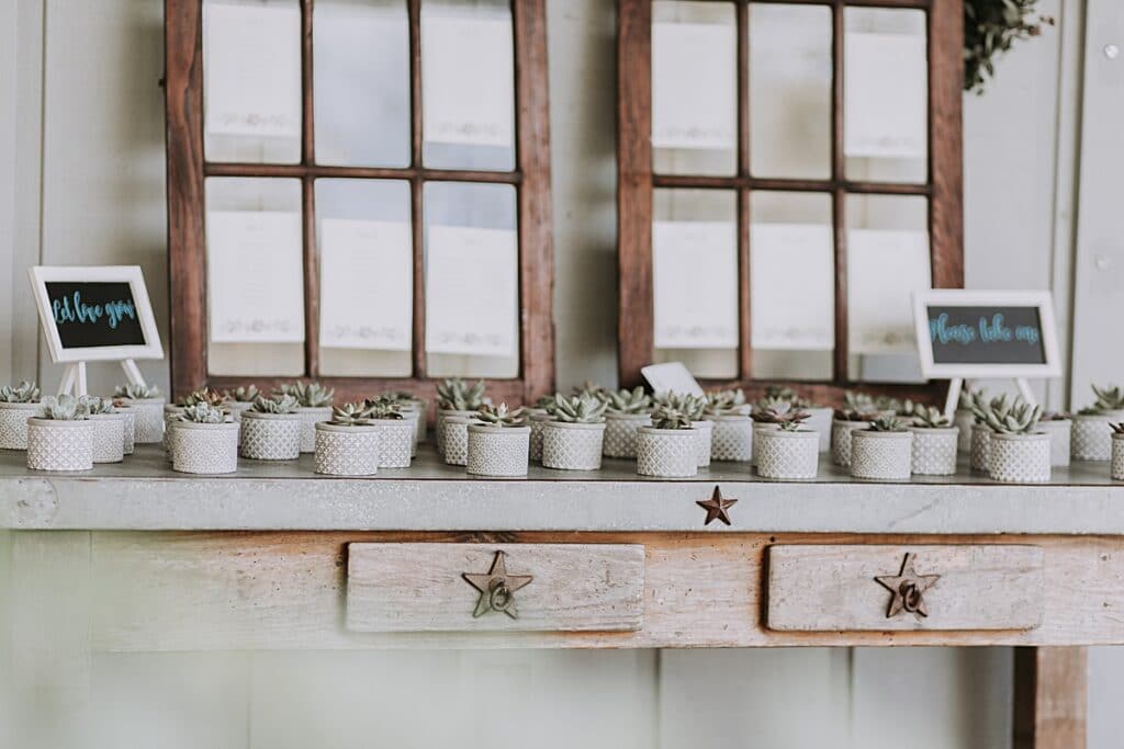 rustic seating chart display table with earthy succulent wedding favors