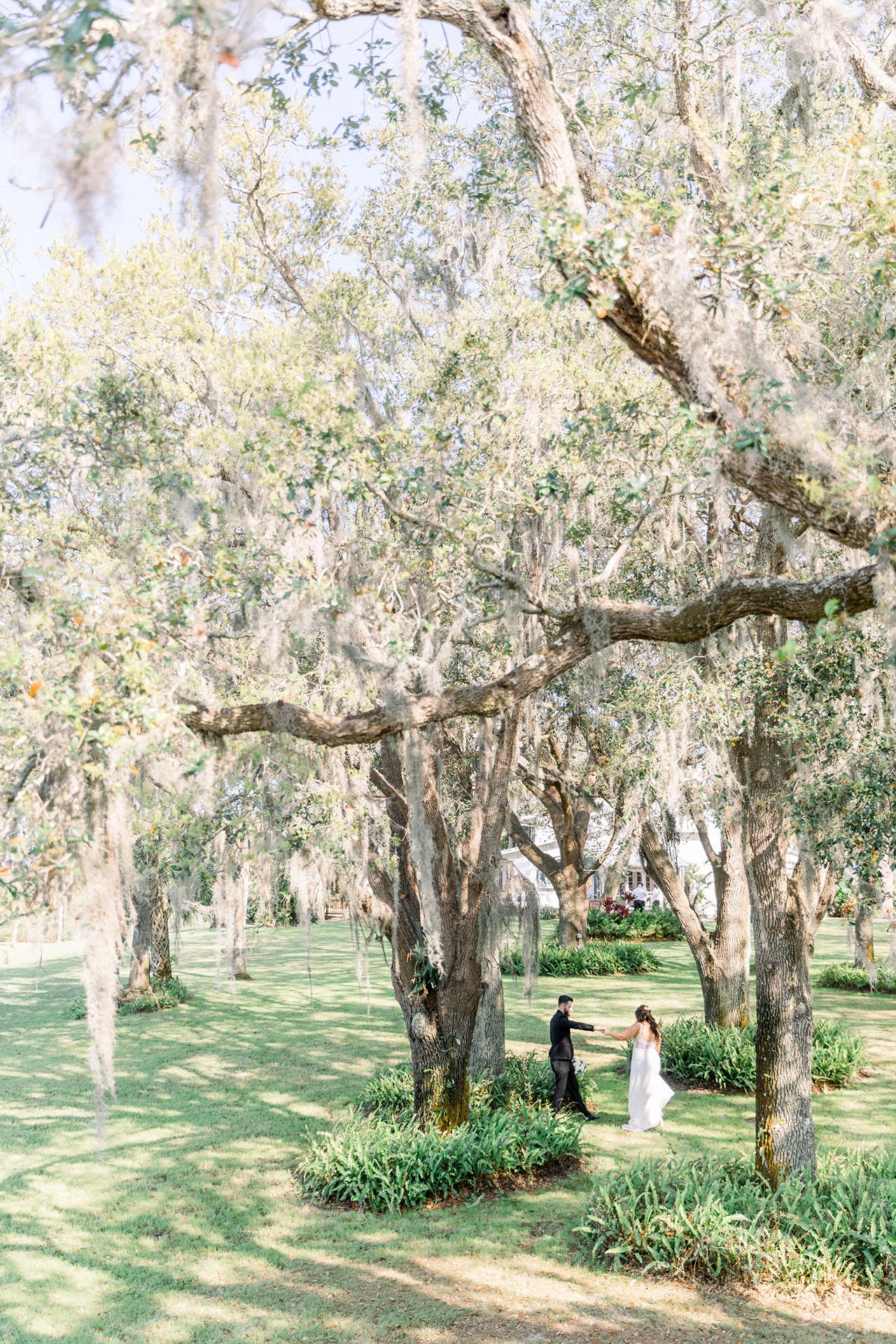 oak tree wedding venues Florida