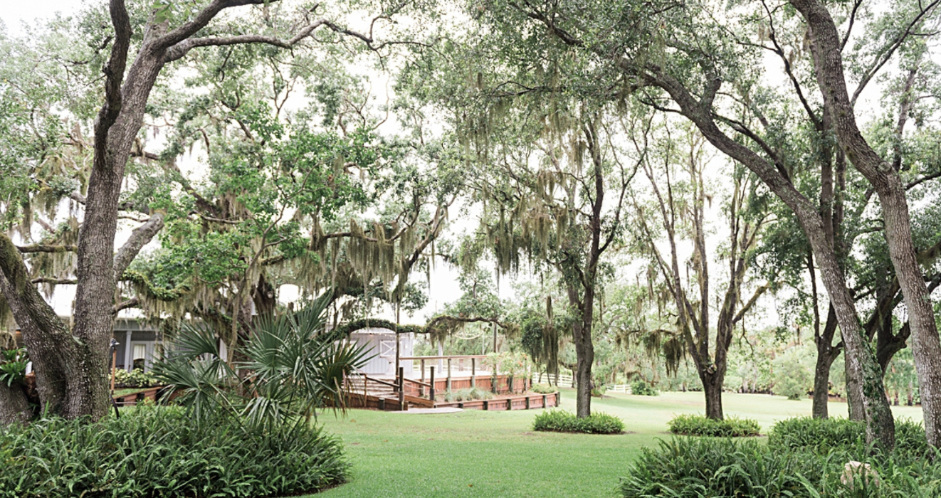 oak tree wedding Florida